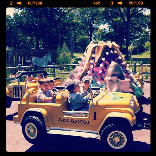 Driving the jeep at the Boston zoo