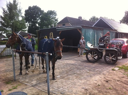 Getting the horses ready for the ride