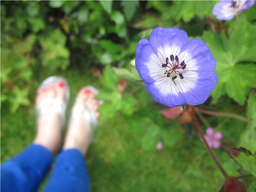 Feet and flower by PhotoPuddle