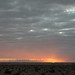 Western Sahara impressions - IMG_0638_CR2