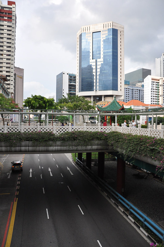 Растительность на надземном пешеходном переходе в Сингапуре