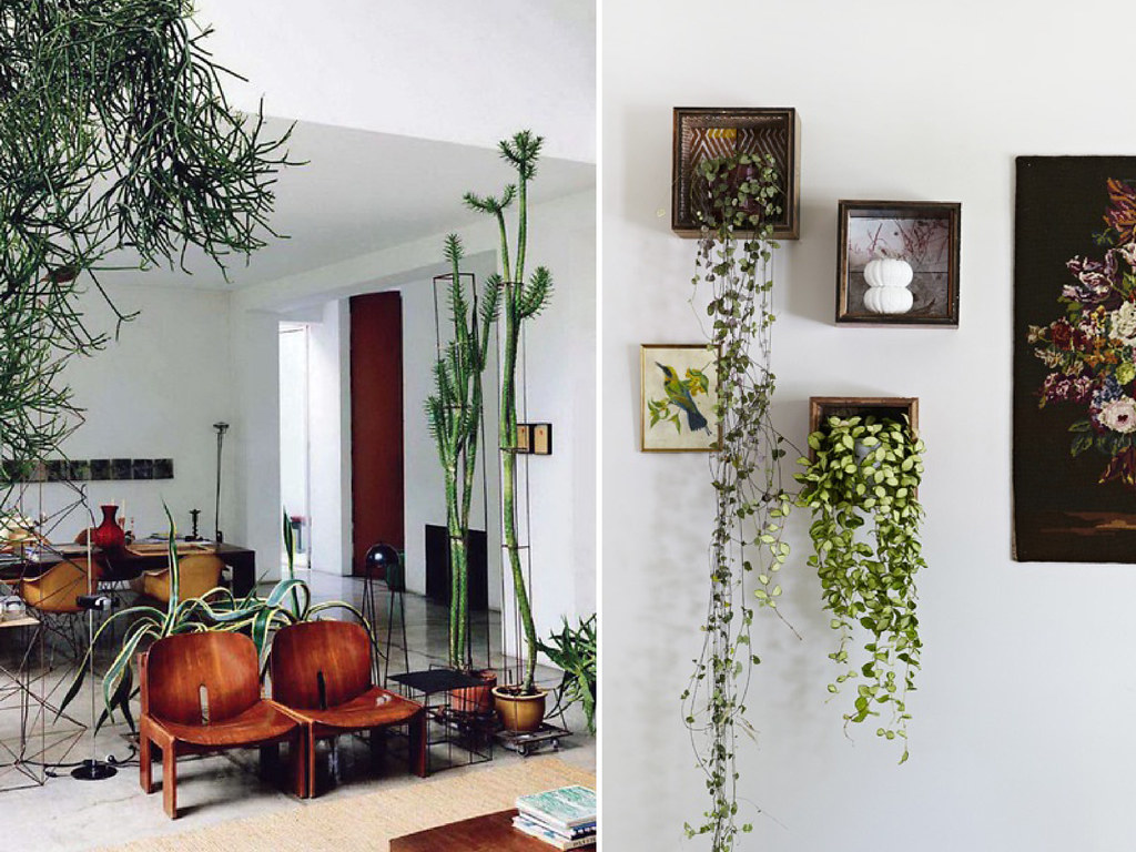 indoor plant inspiration plants diy flickr piante con arredare le pro decoration shelves inside