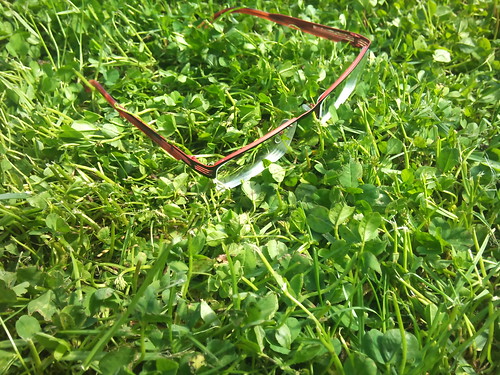 Glass in grass by XPeria2Day