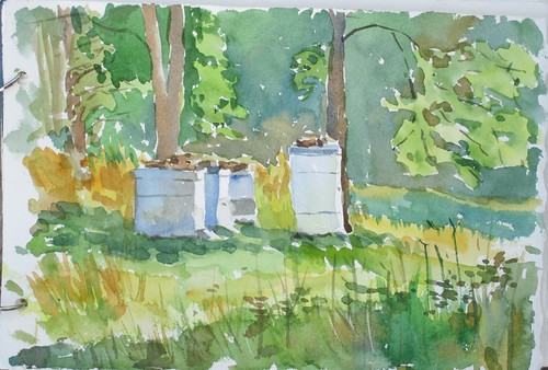 37 Bethany Springs, Bee hives by luv2draw