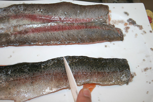 18 - Forelle entschuppen / Scale trout