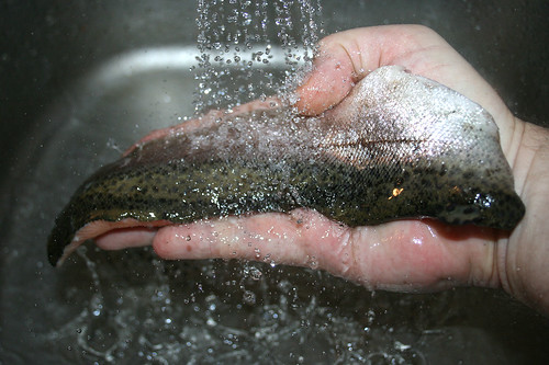 19 - Forelle abspülen / Wash trout