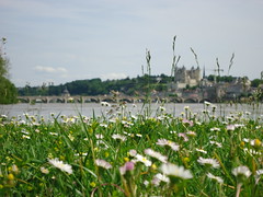 Loire _all