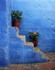 stairs, geranium and blues ... by Zé Eduardo...