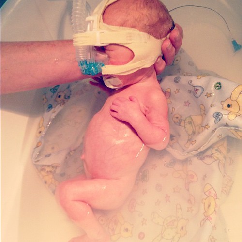 Rhys getting his swaddle bath last night. Day 24. #preemie #twins @midblock17