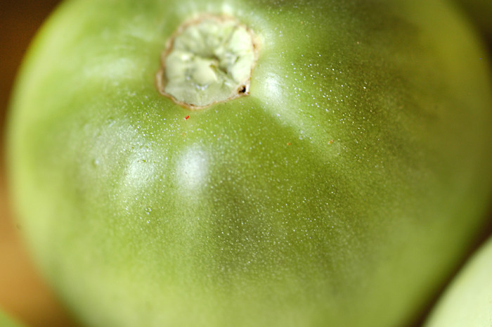 Green Tomatoes3
