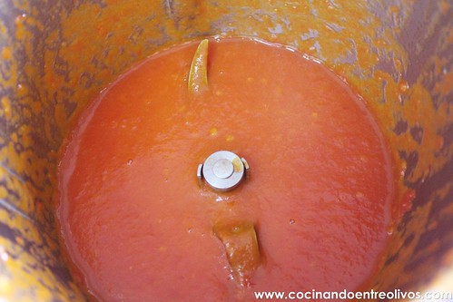 Tomate frito Thermomix (7)