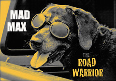 MAD MAX ~ Road Warrior / Beyond Thunderdome