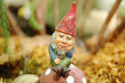 the wee forest gnome in his home.