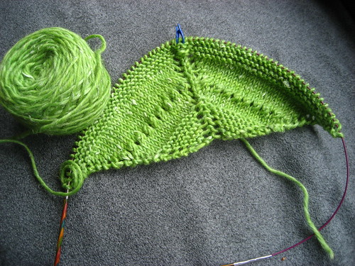 French spring green shawl
