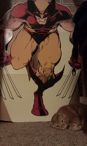 Hanging w/ Wolverine