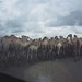 Camels on the road into Sudan - MVI_1292