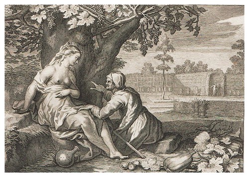 020- Vertumno y Pomona-Ovid's Metamorphoses In Latin And English V.2- Bernard Picart-© UniversitättBibliotheK Heidelberg