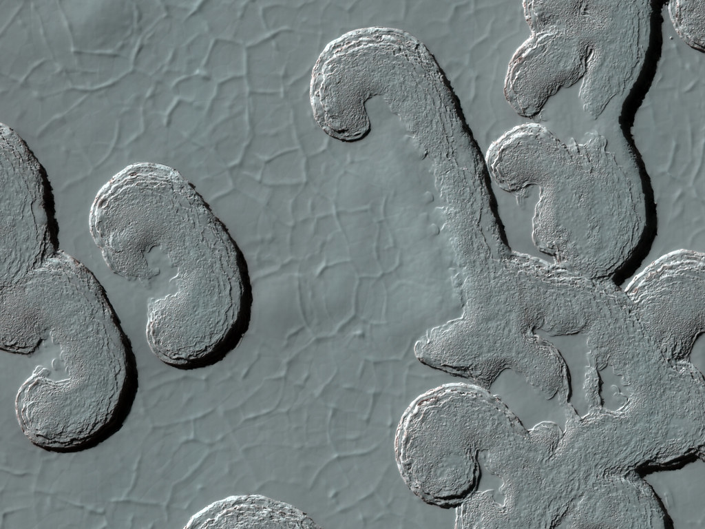Landforms on Mars (NASA, Mars, 2009)