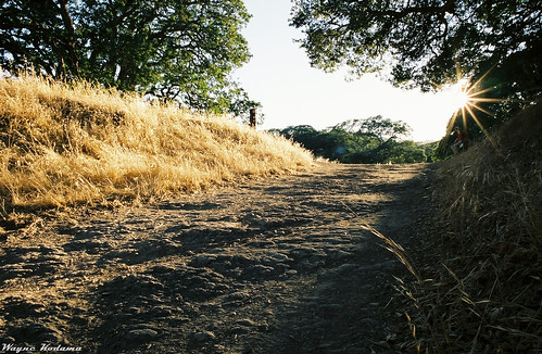 The Trail Ahead by Wayne-K