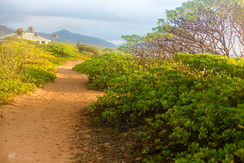 Kauai Beach Resort path