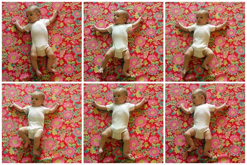 Four Months Collage