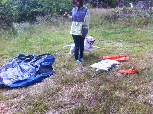 Gomi helps pack up the tents.