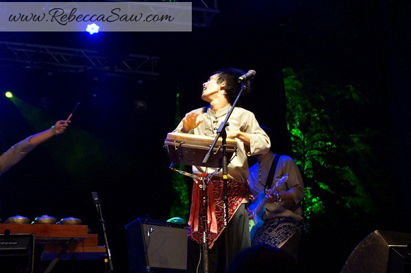 the rhythm of borneo - rainforest world music festival