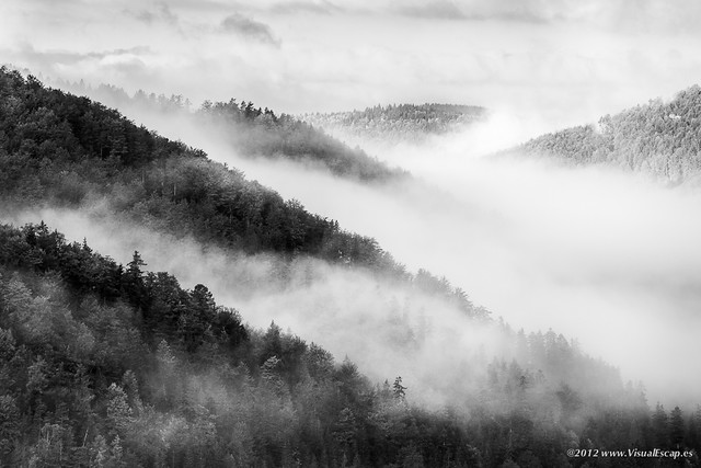 One Foggy Morning ~ Slovakia