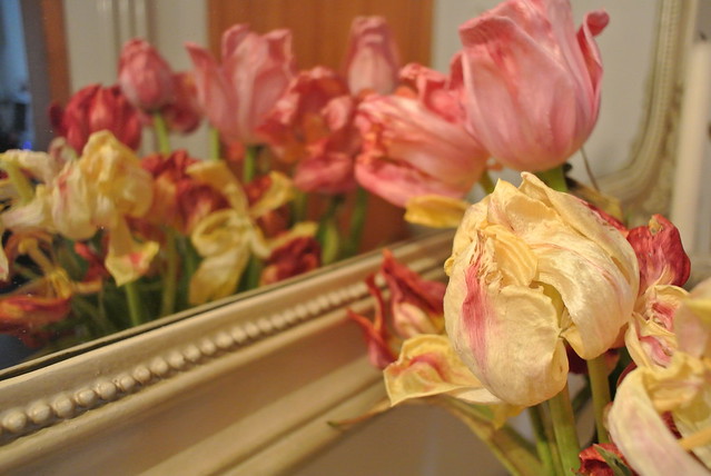 Morbid Tulips
