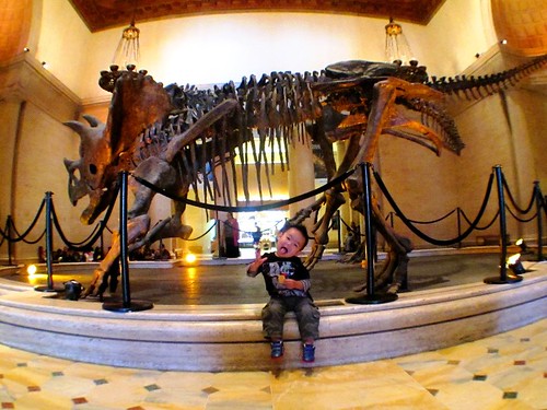 Ju Lien's son is a fan of dinosaurs