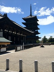 奈良・興福寺五重の塔