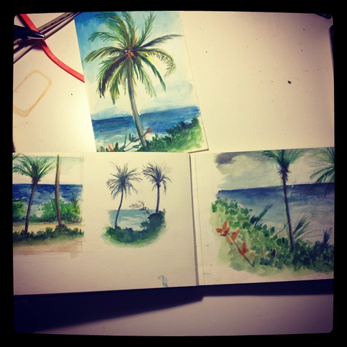 Sketchbook: Watercolor Moleskine (Dominican Republic)