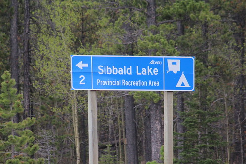 Sibbald Lake 305