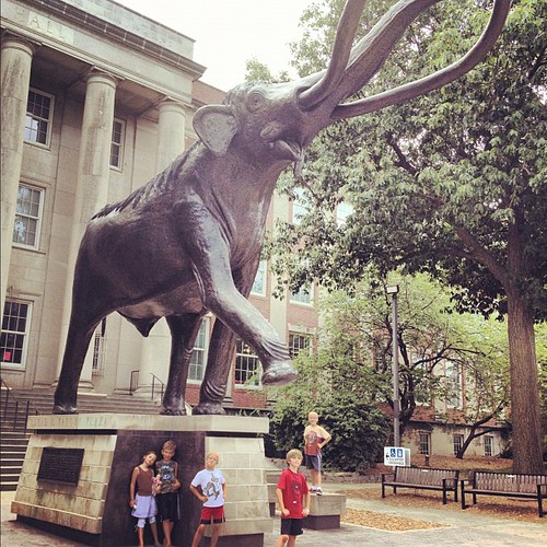 July Photo A Day: Day 9: Big. Today we drove to Lincoln to visit Morrill Hall with some good friends. Awesome day!!