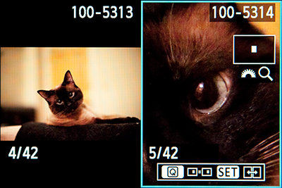 canon 5d mark iii mk 3 view image lcd side by side comparative playback review rear screen