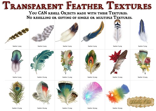 Shabby Chic Feather Textures by Shabby Chics