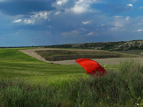  無料写真素材, 自然風景, 草原・草, 傘  