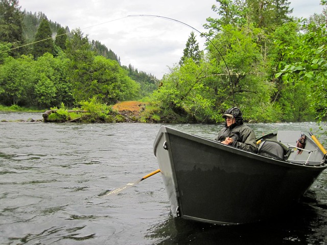 fly fishing the mckenzie river