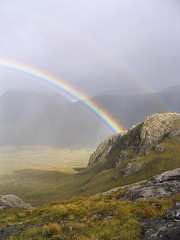 rainbows & haloes