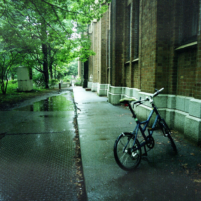 雨の校舎裏