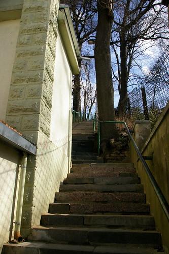 Peledos laiptai 2