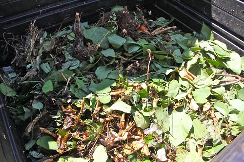Unfinished Compost