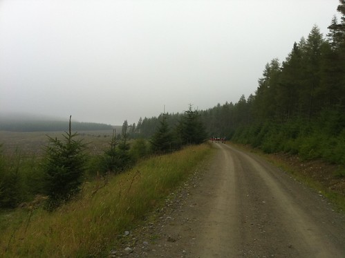 The girls heading into the mist up the forestry track around Crock, Glenisla