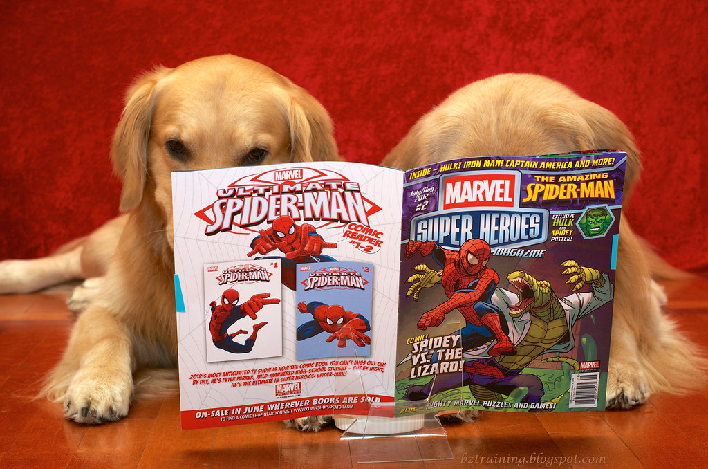 Dogs and Comic Book