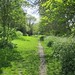 A path through Brenchley Gardens
