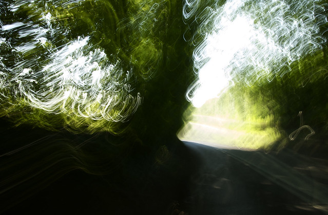 tree of light at speed