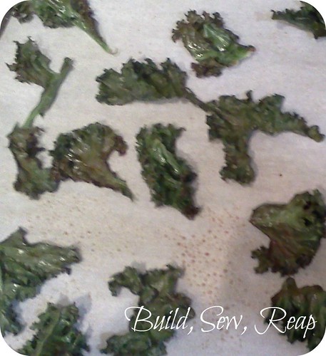 Kale Chips Ready to Eat