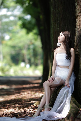 無料写真素材|人物|女性アジア|人物樹木|ウエディングドレス|人物見上げる|台湾人