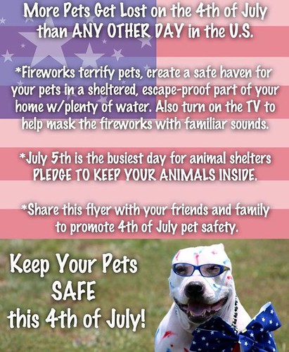 Pets 4th of July