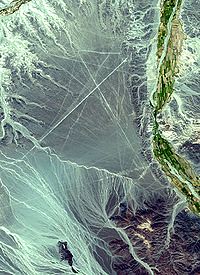 Nazca　Line　Picture